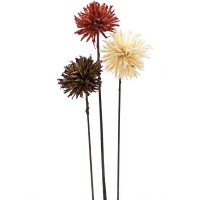 4flor-crisantemo-grande-copy