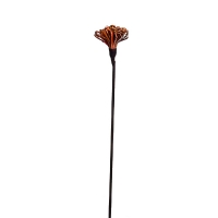 flor-clavel-grande-surtido